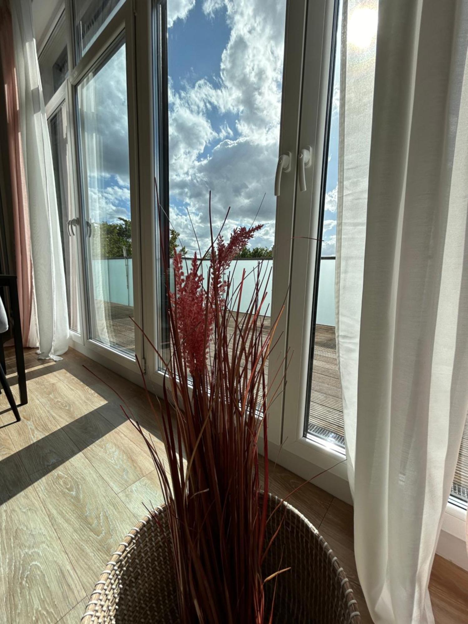 Apartmán Micasa Ol - Modernes Penthouse - Stellplatz - Kueche - Wlan - Dachterrasse Oldenburg Exteriér fotografie